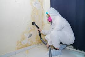 Best Post-Construction Mold Inspection  in Mooreville, MS